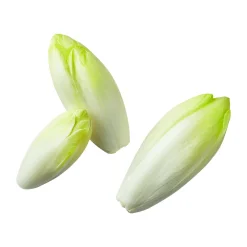 Chicorée