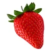 Erdbeeren