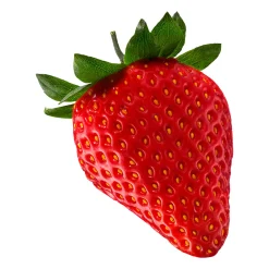 Erdbeeren