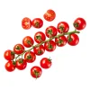 Mini-Cherryrispentomaten