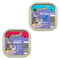 Cachet Ragout / Pastete